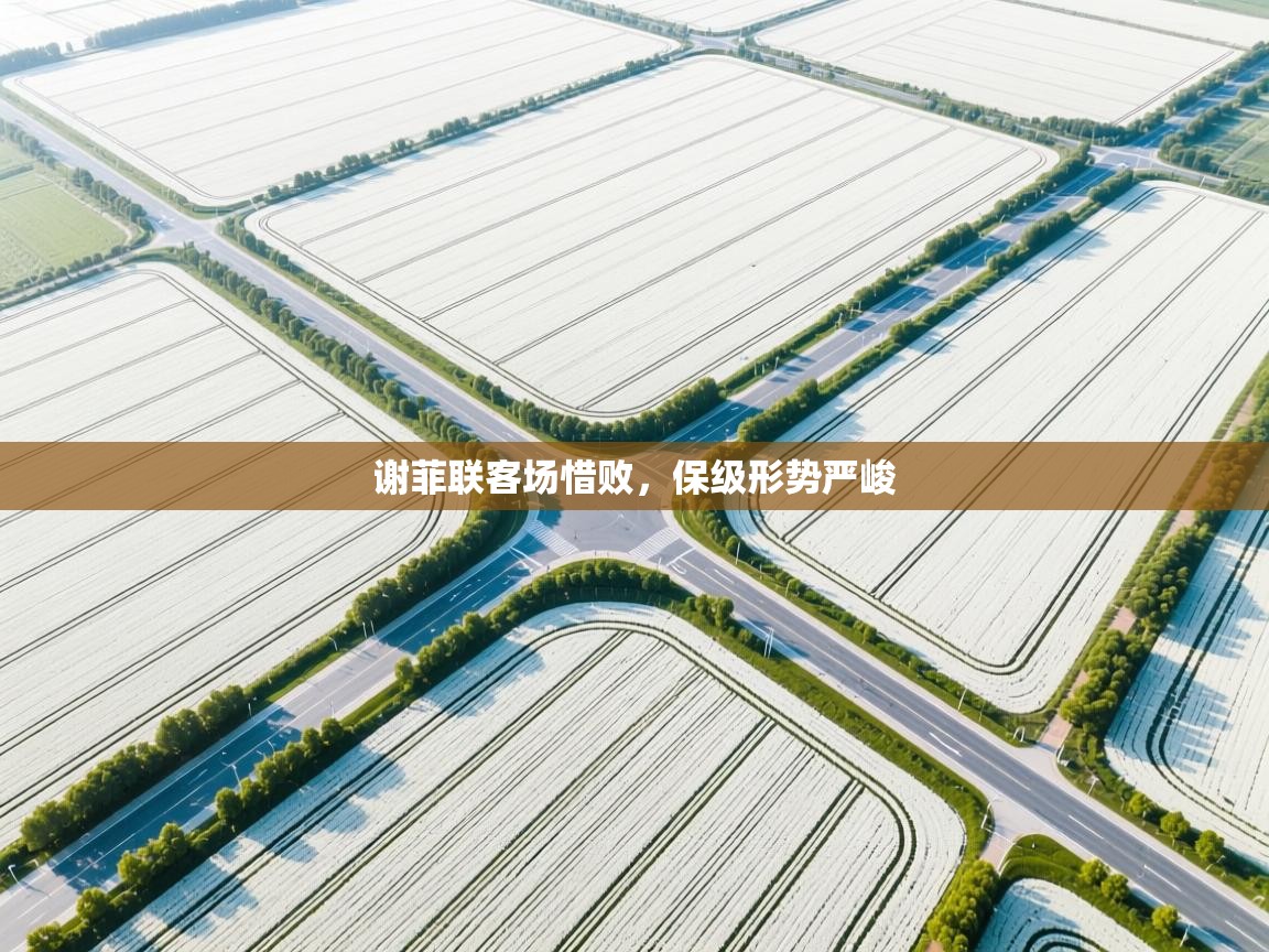 谢菲联客场惜败，保级形势严峻  第1张