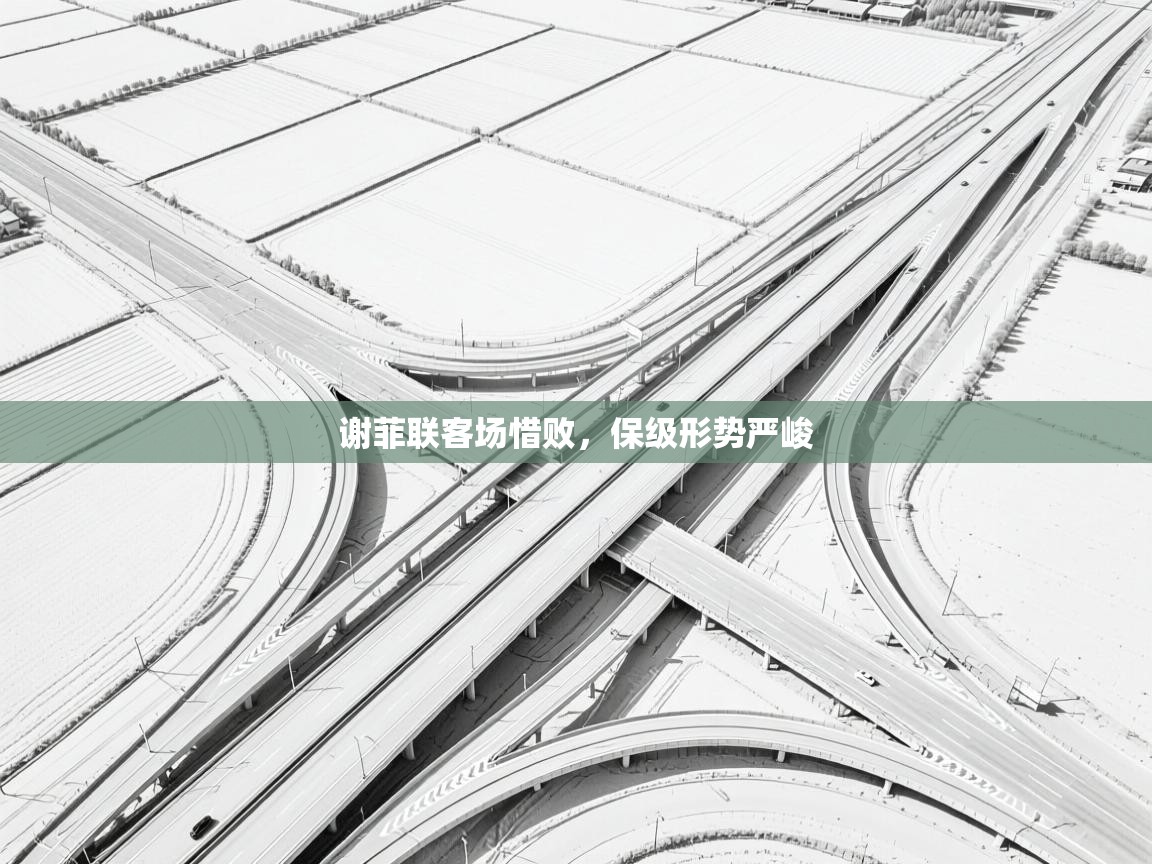 谢菲联客场惜败，保级形势严峻  第2张