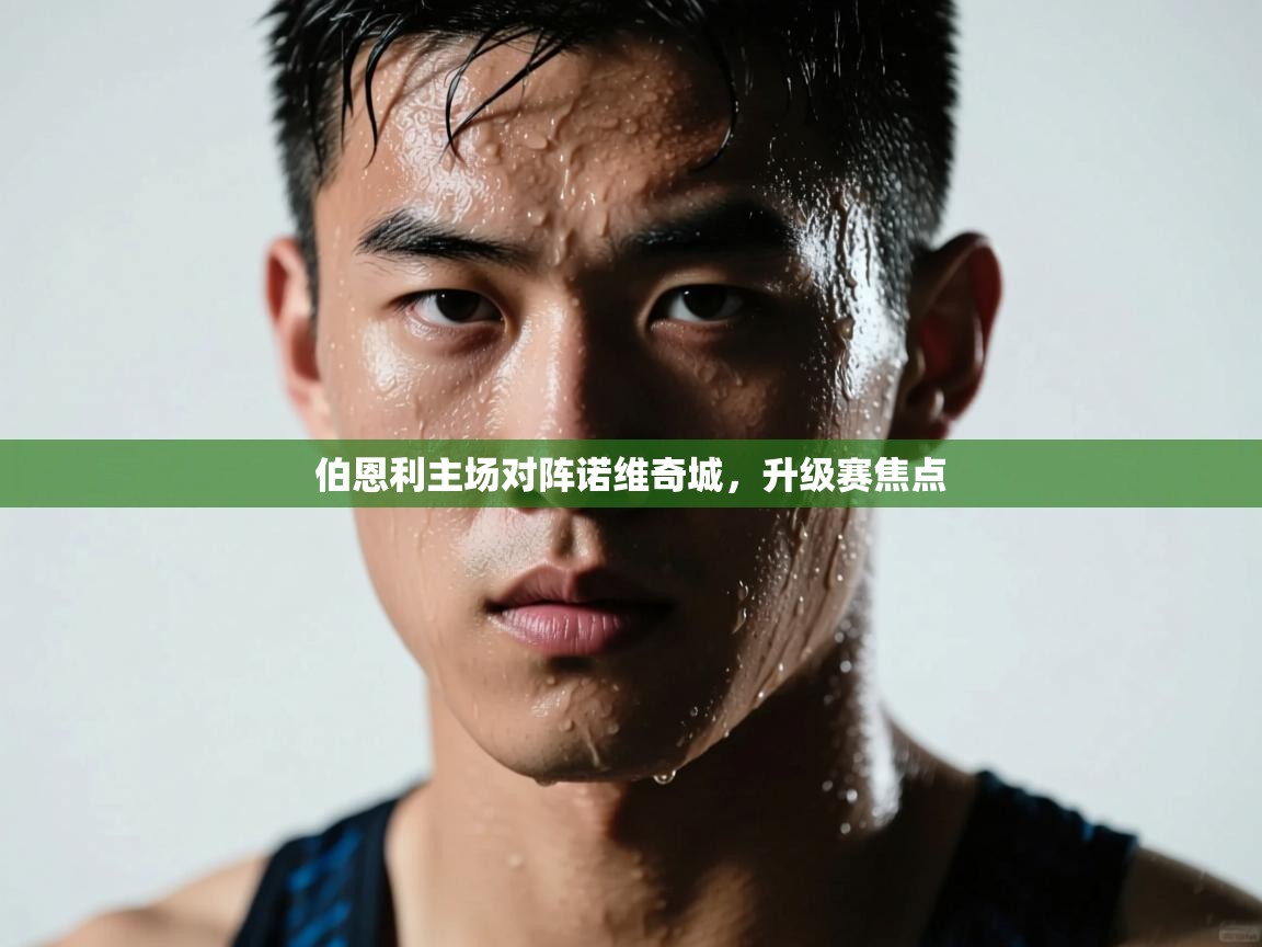 伯恩利主场对阵诺维奇城，升级赛焦点  第1张