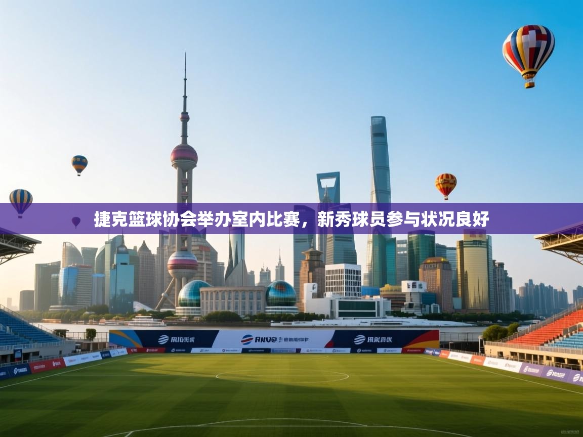 捷克篮球协会举办室内比赛，新秀球员参与状况良好  第1张