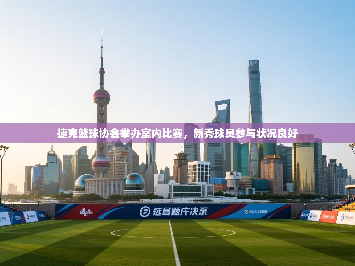 捷克篮球协会举办室内比赛，新秀球员参与状况良好  第2张