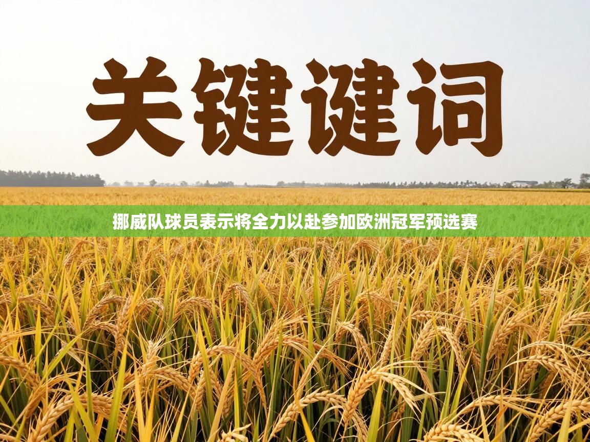 挪威队球员表示将全力以赴参加欧洲冠军预选赛 第1张
