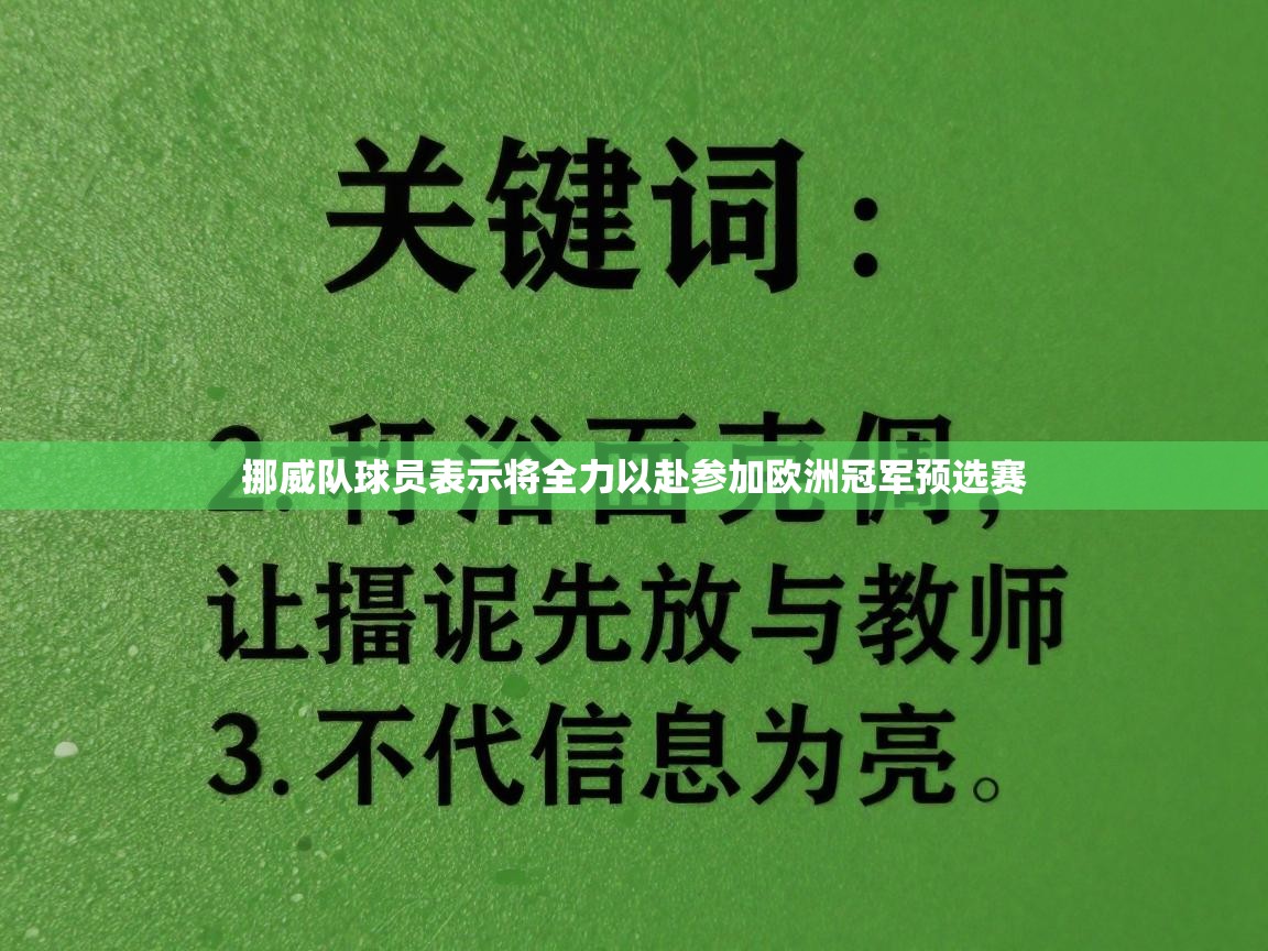挪威队球员表示将全力以赴参加欧洲冠军预选赛 第2张