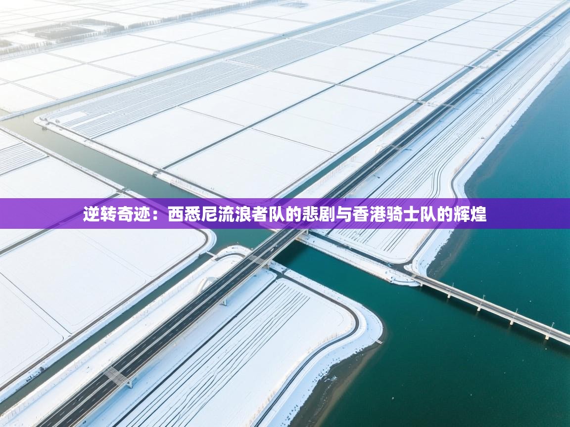 逆转奇迹：西悉尼流浪者队的悲剧与香港骑士队的辉煌  第2张