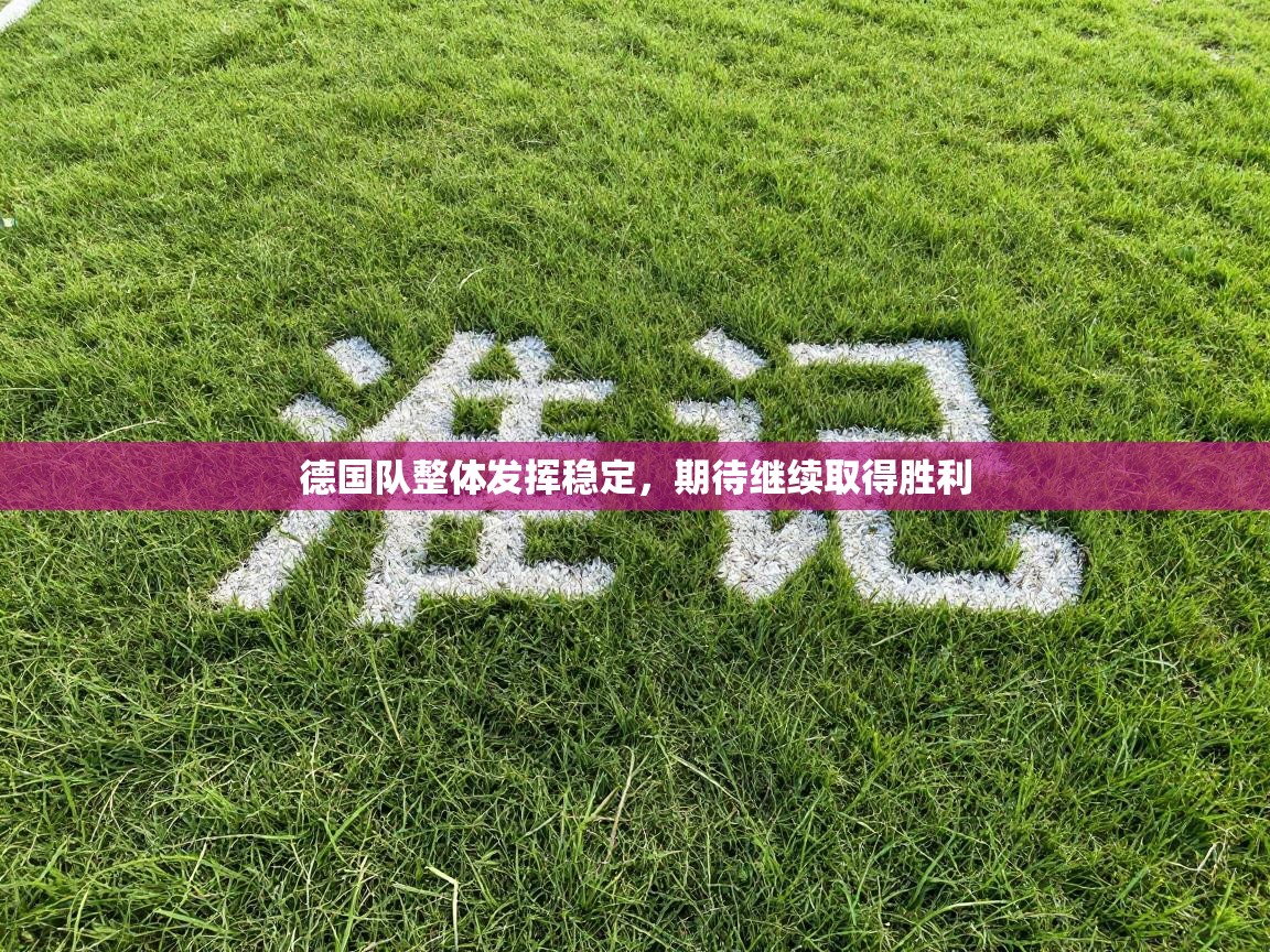 德国队整体发挥稳定，期待继续取得胜利  第1张