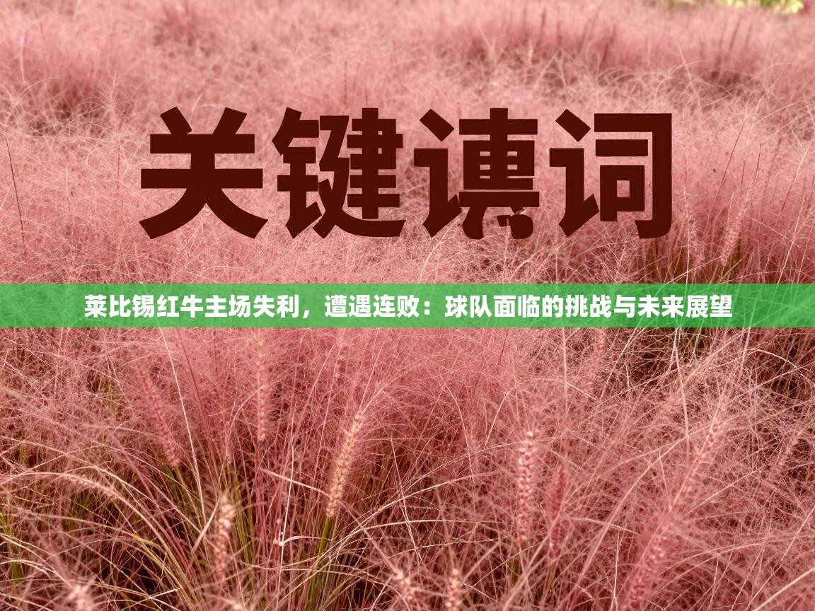 莱比锡红牛主场失利，遭遇连败：球队面临的挑战与未来展望  第2张